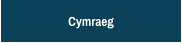 Cymraeg