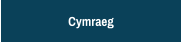 Cymraeg